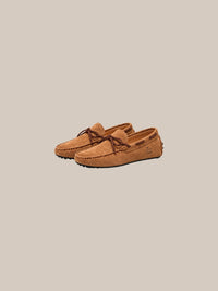 Thumbnail for 2 brown par - IA GPT.jpg